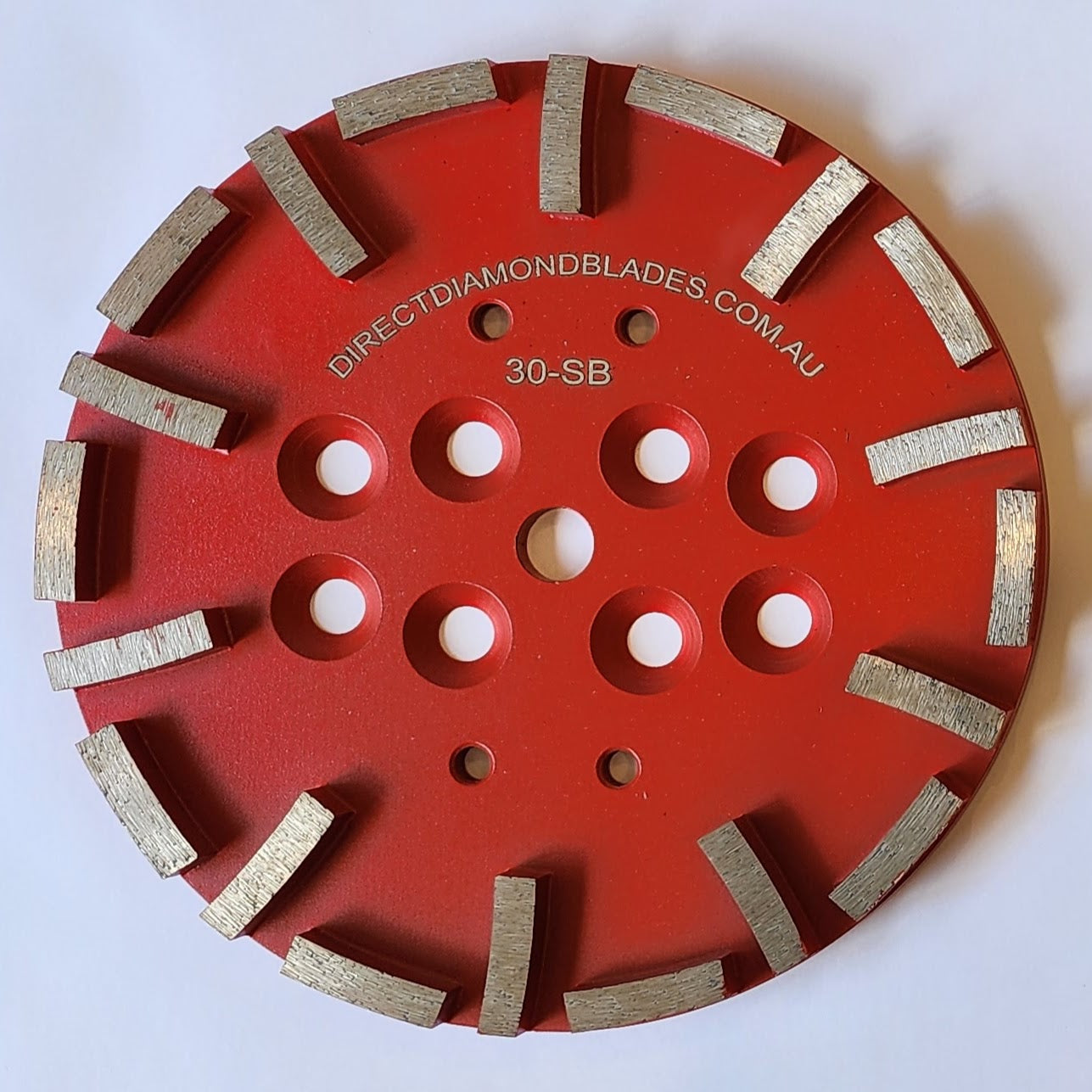 Diamond Grinding Plate: 10″ 30# Soft Bond 20-Segment Curved (10mm thickness)