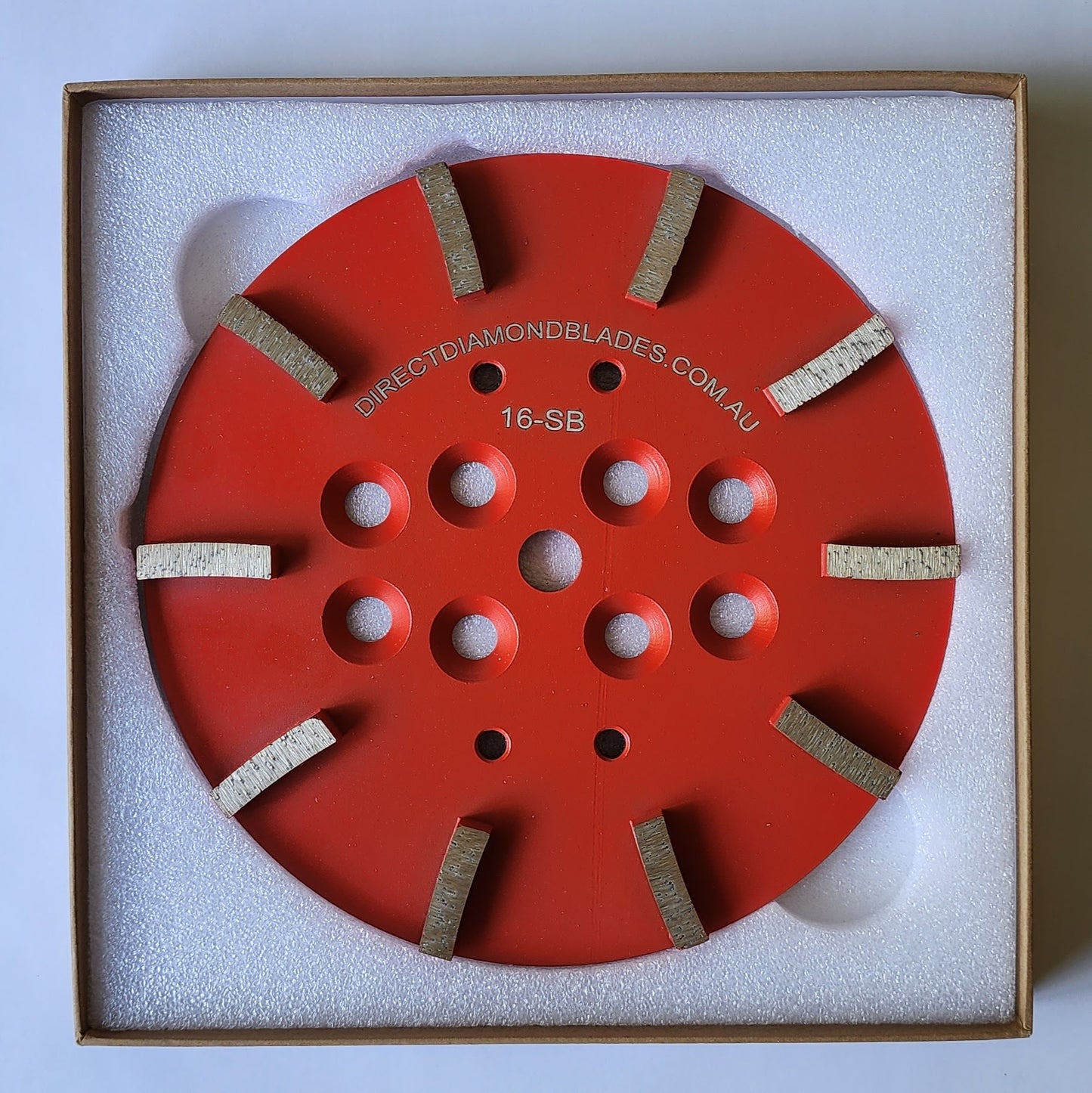 Diamond Grinding Plate: 10″ 16# Soft Bond 10-Segment Curved (10mm thickness)